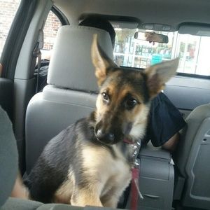 Meet your Posher, Rj